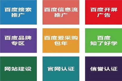 信息流广告推广成功案例深度剖析